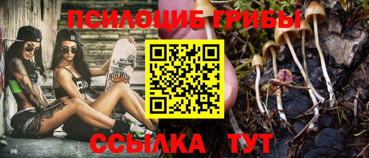 Пугачёв  Псилоцибиновые грибы прущие грибы  Вход с VPN  где можно купить   Псилоцибиновые грибы Magic Shrooms 
